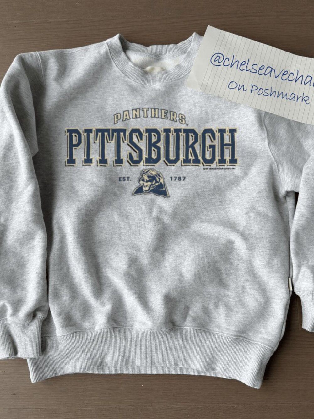Vintage University of Pittsburgh Panthers Sweatshirt, Pittsburgh Panthers Shirt